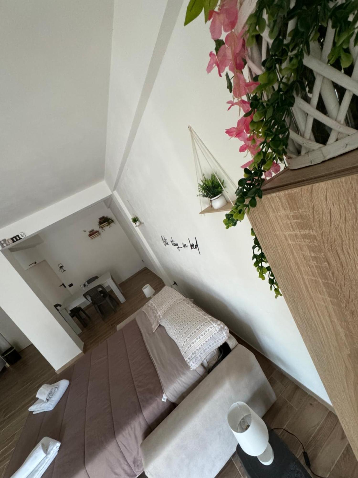 Torretta  Mc Rooms מראה חיצוני תמונה